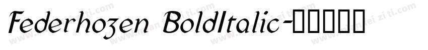 Federhozen BoldItalic字体转换